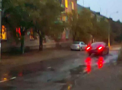 В полночь на улице встретила мальчика одного, мама приказала ему: «Иди гуляй!», - камышанка