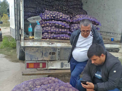 На камышинских рынках привозную картошку на зиму можно купить дешевле, чем местную