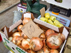 Об опасном луке с нитратами от призрачного «Чиполлино» предупредили камышан