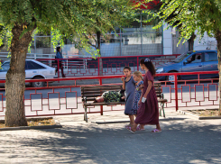 В Камышине на центральной улице продолжается «тихий час» известных типов на скамейках