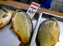На камышинском рынке сазан приблизился по цене к свинине «на ребрышках»