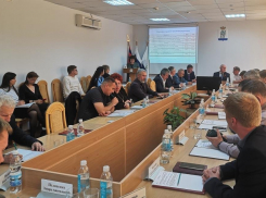 В Волгоградской области депутаты дум срочно стали принимать решения о засекречивании своих доходов, дело за Камышинской городской думой?