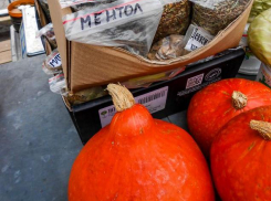 За что специалисты Роспотребнадзора воспели зимнюю тыкву