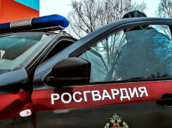 В Камышине росгвардейцы препроводили в полицию вора с чужим компьютером