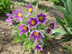 Камышан будет испытывать на прочность космический шторм в выходные