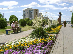 Волгоградский социолог призвал противников московского времени проигрывать достойно, - «Блокнот Волгограда»