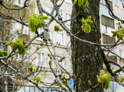 Где в Камышине сегодня, 23 апреля, продолжат отключать электричество