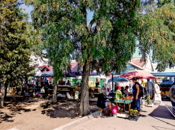 Статистики заявили, что в Волгоградской области жители зарабатывают по 65 тысяч рублей в месяц 