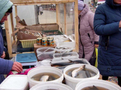 В Камышине заранее стал дорожать главный ингредиент популярного новогоднего салата «селедка под шубой»