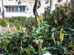 Где в Камышине коммунальщики намерены отключить свет и воду завтра, 2 сентября