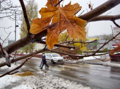 Прощание с первым снегом: дождливо, пасмурно и тепло будет в Камышине 28 октября