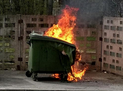 Судя по сводкам пожарных, в Камышине объявлена война новым пластиковым евроконтейнерам