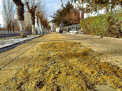 А кто будет убирать песок после «неистовой» борьбы с гололедом на пути к администрации Камышина? - камышанка