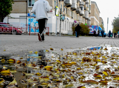 В Камышине полицейские задержали подозреваемого в краже денежных средств