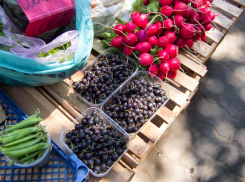 В Камышине черная садовая смородина продается по цене малины