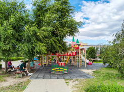Июнь оказался «урожайным» месяцем на новорожденных в Камышине