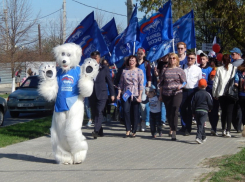 Единороссы в Камышине полностью захватили инициативу на выборах в Камышинскую городскую думу
