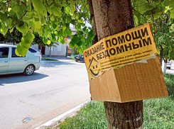 Никого не тревожат объявления о помощи бездомным, приклеенные где попало? - камышанка