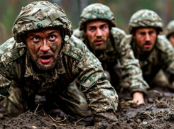 «Под угрозой — Брянск, Белгород, Курск»: ВСУ готовят предновогоднее наступление?