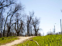 Солнце с утра четверга сменится моросящим дождем в Камышине