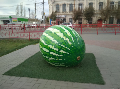 Сколько еще памятник камышинскому Арбузу будет оставаться бесхвостым