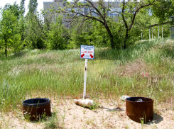 Администрация Камышина пригрозила серьезными штрафами всем, кто выбрасывает мусор в неположенных местах