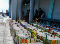 Тепло и солнечно: погода в Камышине на воскресенье 15 марта