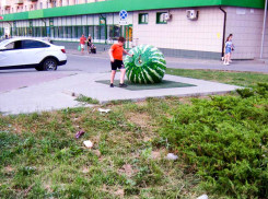 Камышане призывают власти подлатать памятник «полосатику» и начинать выметать площадку около него накануне Арбузного фестиваля