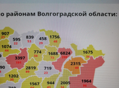 Это что-то кошмарное: 5 покойников и 46 зараженных зафиксировано 16 декабря среди камышан