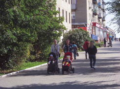 Новый сервис: в Волгоградской области регистрируют рождение детей без посещения органов загс