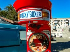 В Камышине на рынке у «Победы» установили «антистрессовый» аппарат, кому мускулы тренировать? - камышанка