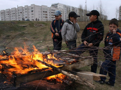 Жители Камышина и района, на землях общего пользования населенных пунктов запрещается разводить костры!	