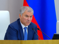 Спикер Госдумы Вячеслав Володин попросил проверить данные о пытавшихся уехать во время мятежа госслужащих