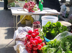 Жители Волгоградской области стали чаще заражаться паразитами через фрукты и овощи
