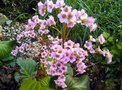 Суббота в Камышине окажется свежей и временами дождливой