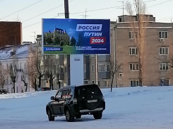 Работники избиркомов пойдут по домам жителей Волгоградской области с пиаром выборов президента 