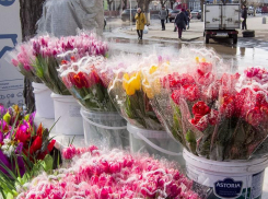 «Цветочные» оптовики предупреждают, что тюльпаны могут оказаться «золотыми» к 8 Марта в этом году