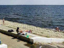 Камышане устроили дикий пляж на плитах в 6-м микрорайоне - змеи купальщиков не останавливают! (ВИДЕО)