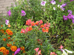 Отличную теплую погоду дарит камышанам последний сентябрьский день