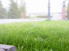 Среди камышан, по данным на 15 мая, не заразился коронавирусом никто, а умерли от него двое