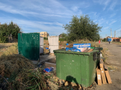 «Авторов» мусорок ловят с земли и с воздуха, но свалки в Камышине пока неистребимы