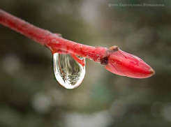 В Камышин приходят дожди, ледяной шквалистый ветер и резкое похолодание