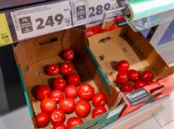 В Камышине свежие помидоры можно купить дешевле соленых