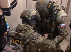 ФСБ предотвратила теракт на «Южном потоке» в Волгоградской области (ВИДЕО)