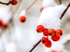Камышанам предсказан первый снег