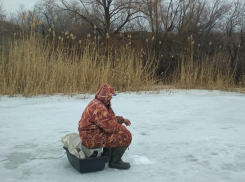Камышинские фанаты зимней рыбалки сегодня, 27 марта, «обжили» заливы у Волги