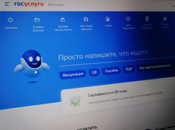 Жители Волгоградской области пожаловались на «легшие» «Госуслуги» в первый день выборов, - «Блокнот Волгограда»