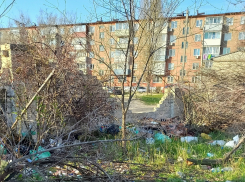 Чиновники Камышина требуют от горожан нанимать спецтранспорт для вывоза веток или технику для их измельчения, но к мусоркам с ними не приближаться!