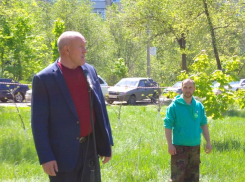 Спикер Камышинской городской думы Владимир Пономарев с лопатой влился в ряды «зеленых» в Камышине