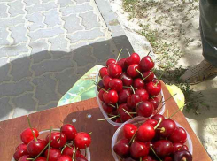 В Камышине на рынках появилась первая местная черешня